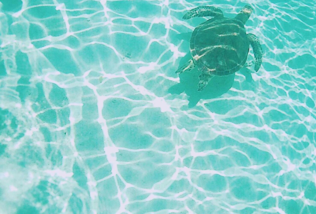 Thalassa Beach And Pool Villa Yoron Esterno foto